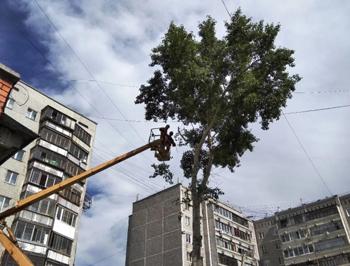 Удаление деревьев с автовышки